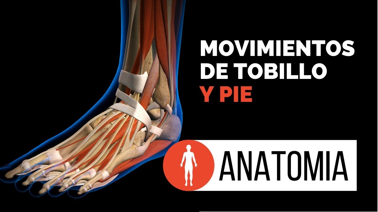 Diferenciando los movimientos del Tobillo con los del Pie.