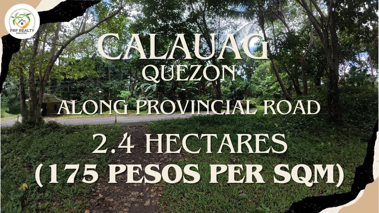 A57 - Property of Calauag | 2.4 Hectares | Along Provincial Road |