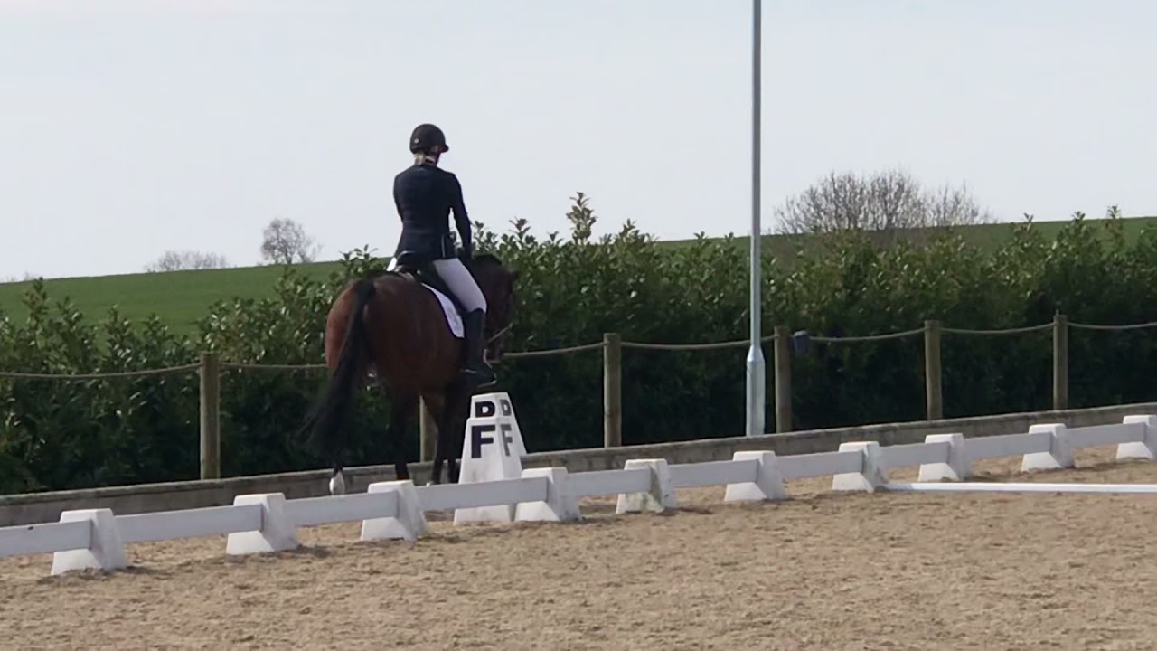 Arogo, Rearsby Lodge RC, Prelim 7, 18th April 2021. 73.64% (and the worlds worst halt!)
