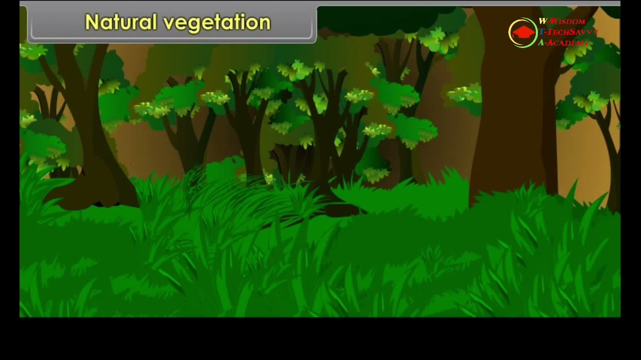 India Climate, Vegetation and Wildlife  Class 6 Social Science