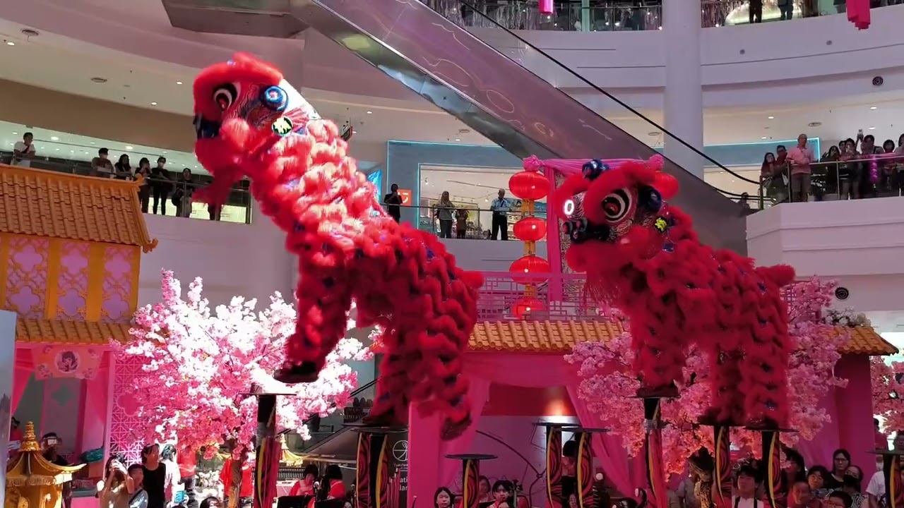 马上过好年MV发布会+高桩舞狮🦁️表演🎉🎊🧨🧧🥳😇