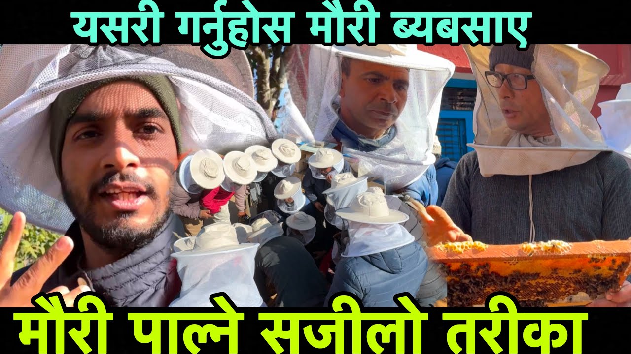 नेपालमा यसरी गर्न सकीन्छ मौरी ब्यबसाए,मौरी पाल्ने सजीलो तरीका