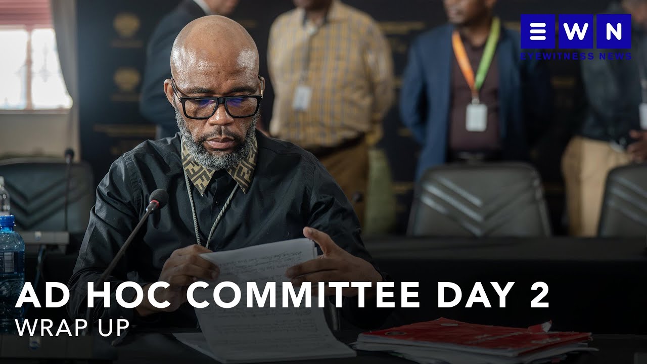 WRAP UP | &lsquo;Cat&rsquo; Matlala testifies for the second day before Parly committee