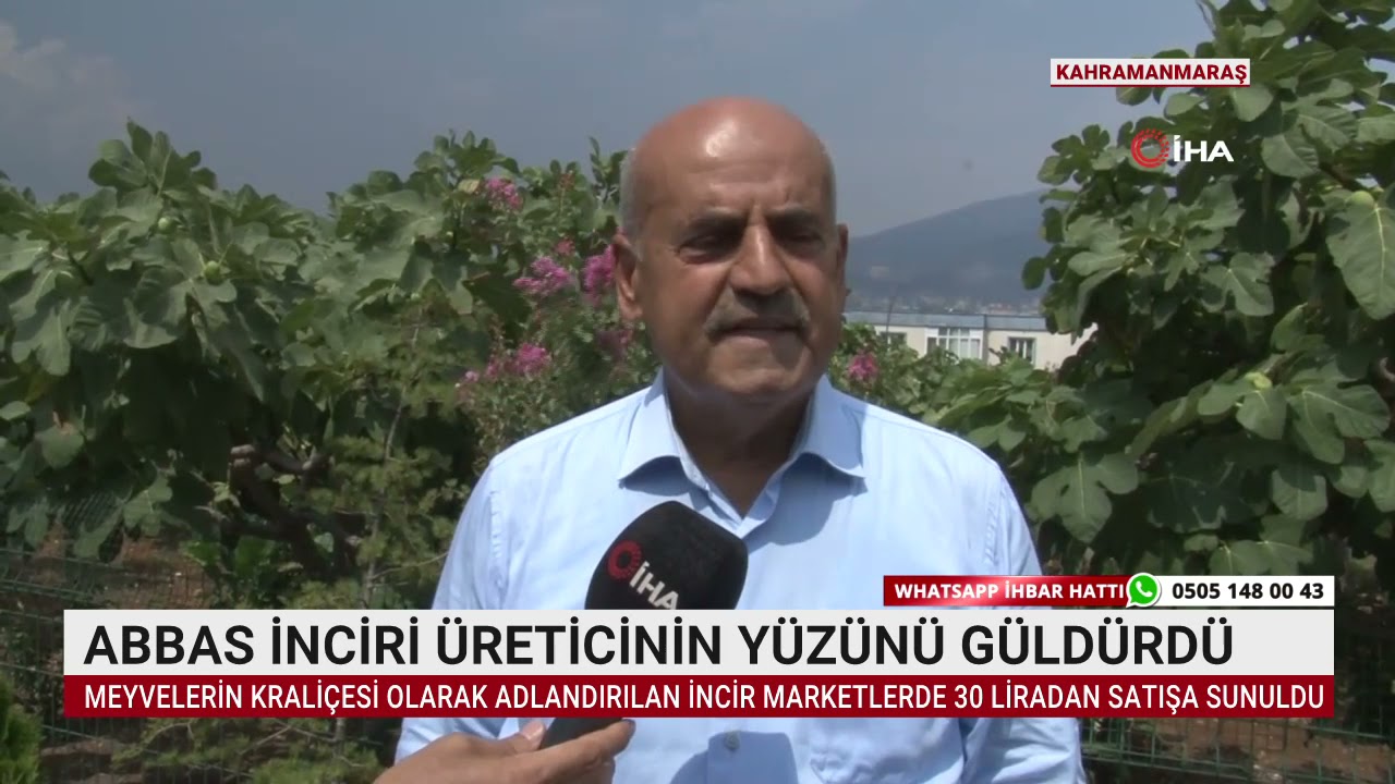 ABBAS İNCİRİ &Uuml;RETİCİNİN Y&Uuml;Z&Uuml;N&Uuml; G&Uuml;LD&Uuml;RD&Uuml;