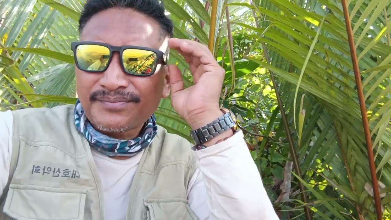 USAHA YANG TIADA HENTI DEMI MONSTER BIRU@AnwarAnwar-tr3nt 