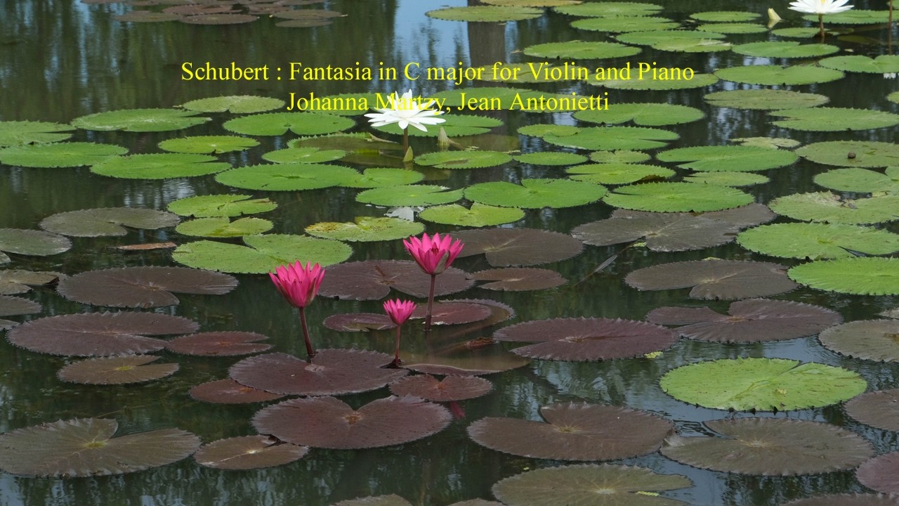 Schubert : Fantasia in C major for Violin and Piano