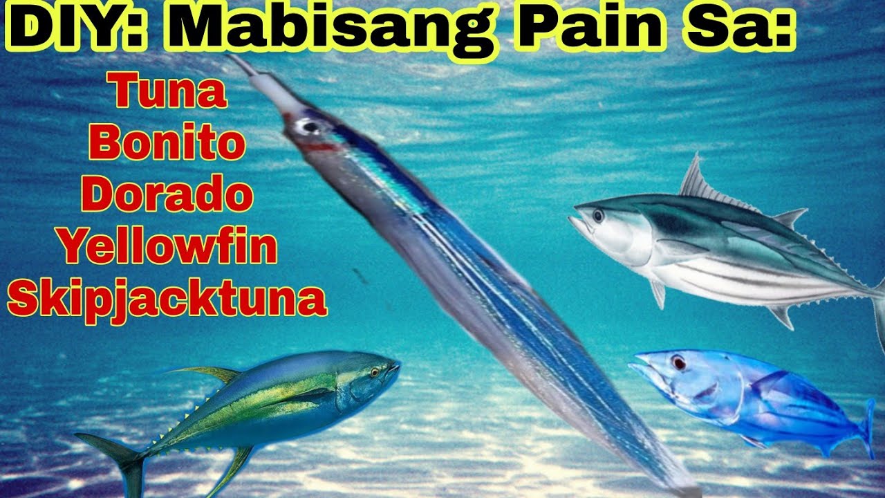 DIY: Nauusong pain: Mabisang panghuli sa Tulingan, Tuna, Dorado, o Skipjacktuna