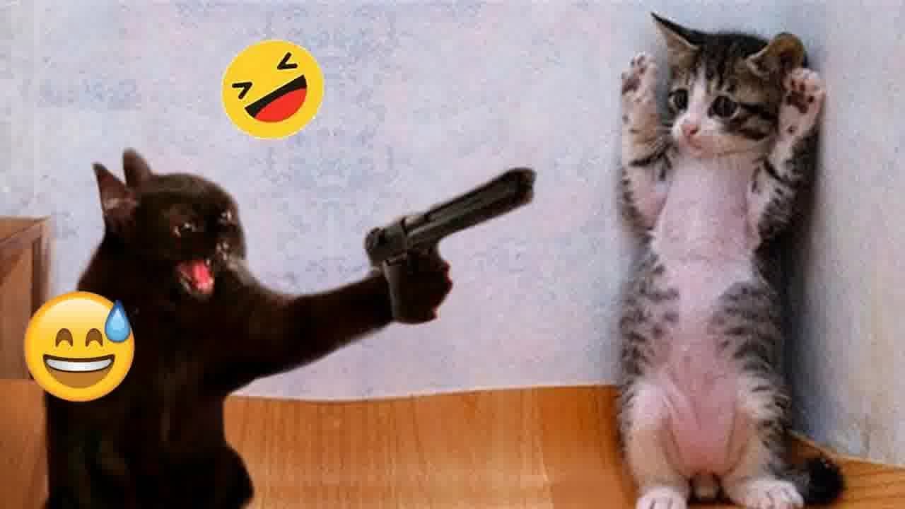 You Laugh You Lose😸🐶Funniest Dogs and Cats 2024😎