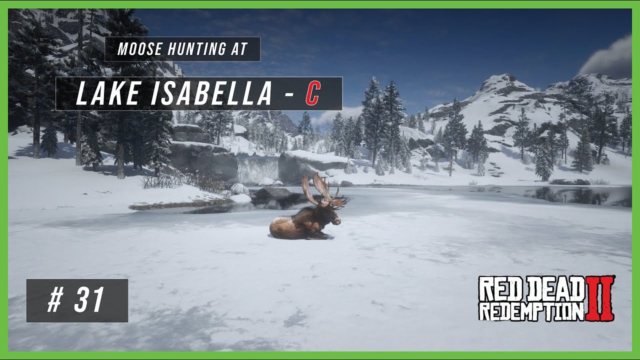 Moose Hunting at Lake Isabella - C!