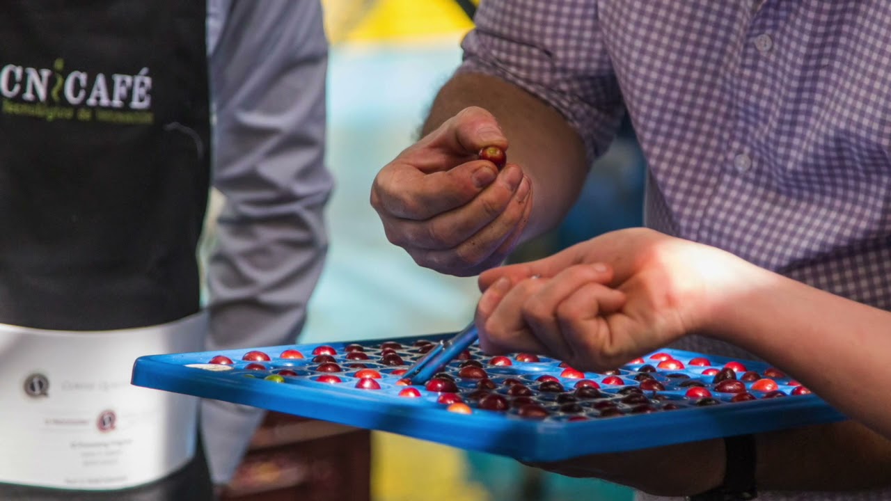 Introduction to Coffee Quality Institute