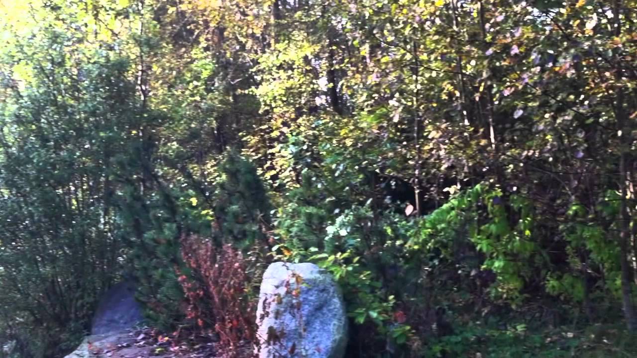 Kielno