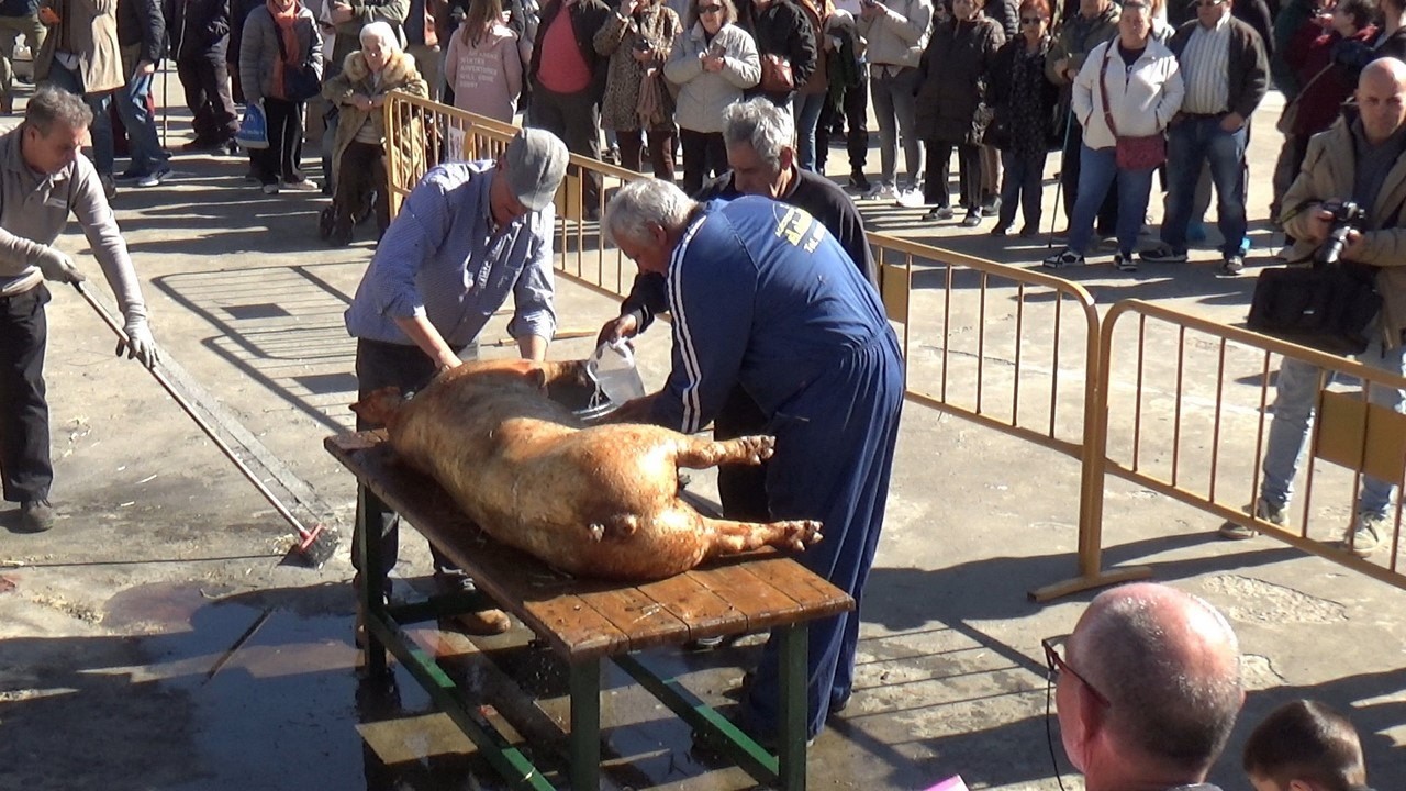 27ª Jornada de la Matanza tradicional y sus costumbres  en Laguna de Duero.