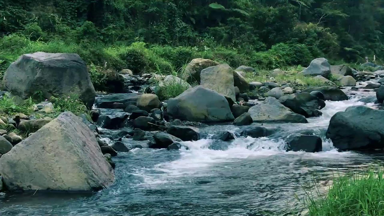 Wilderness Water Background Noise for Inner Peace, Tension Release, Productivity