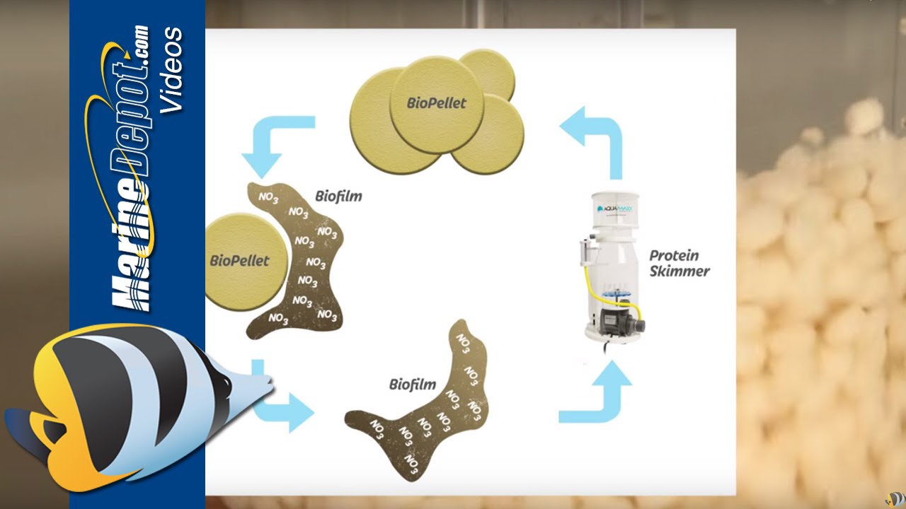 How to Lower Nitrate (and Phosphate) in a Reef Aquarium using BioPellets