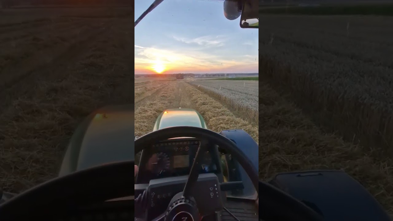 Żniwa 2022 John deere 6320 #johndeere #harvest #sunset