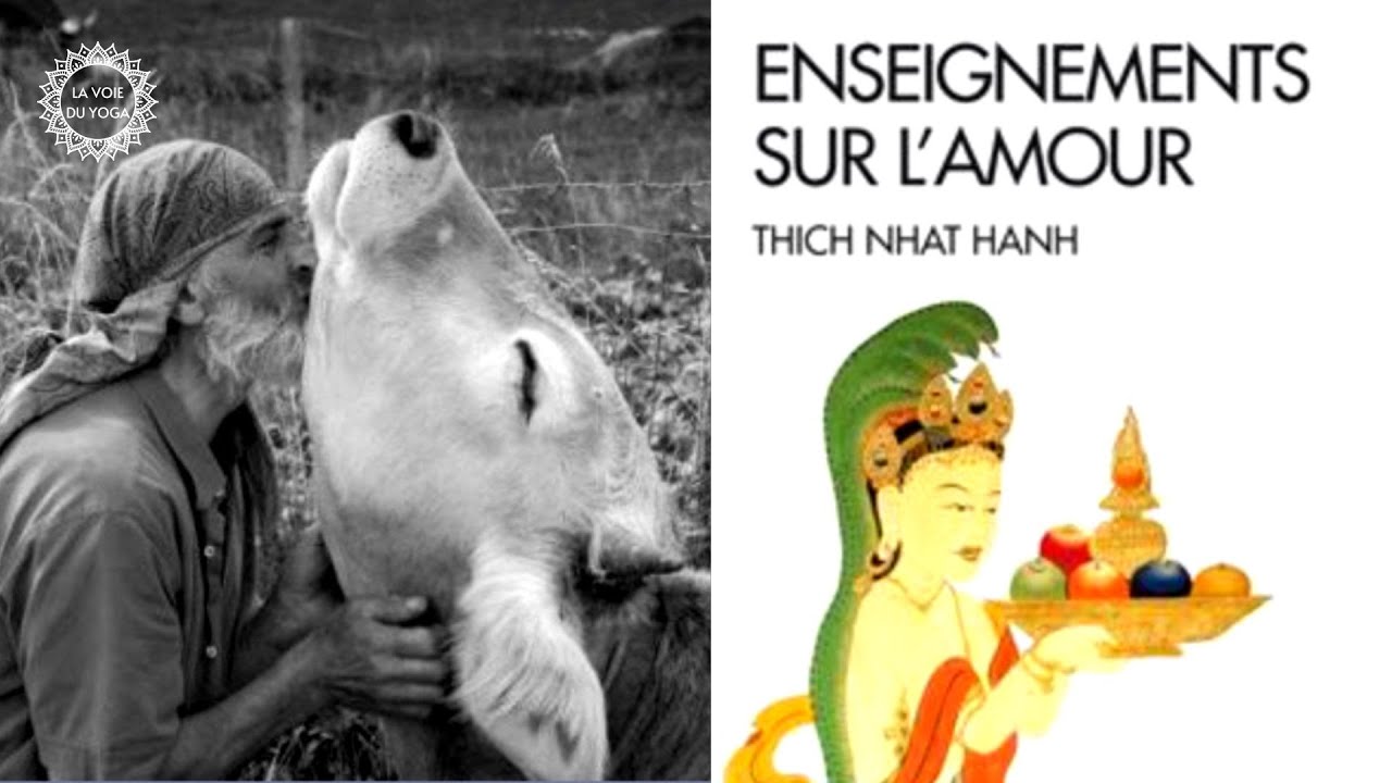 LIVRE AUDIO THICH NHAT HANH | 