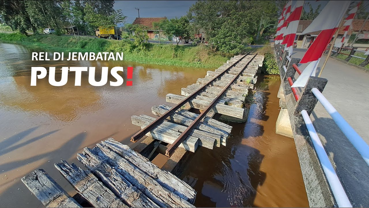JALUR MATI LORI PG JATIROTO SEMAKIN HABIS‼️ compare before & after