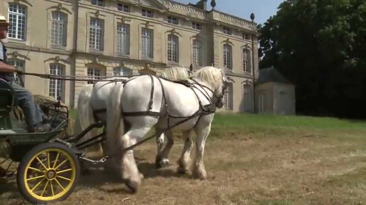L'Orne, créateur de Champions -