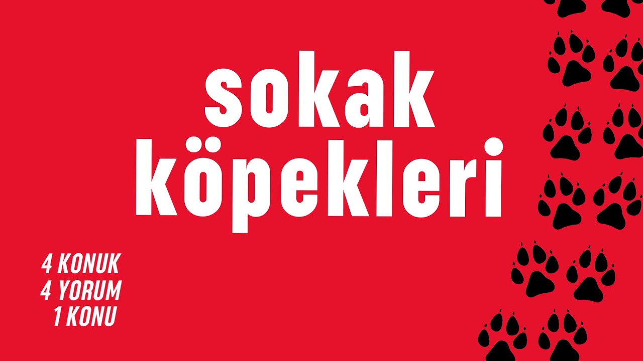 Sokak Köpekleri | 4x4