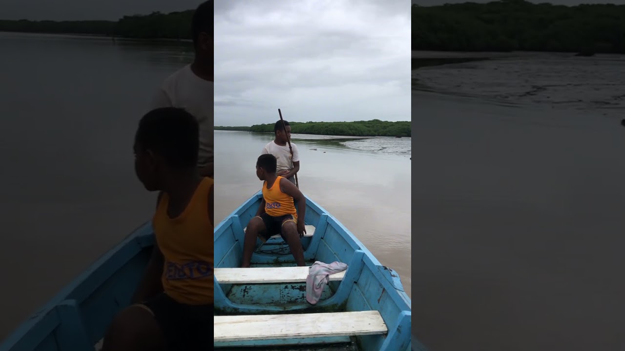 Gusu ni wai na Rewa River Veivatu levu