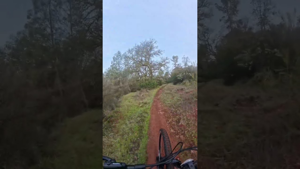 Get in shape before you try MTB! Riding the Trek Roscoe 7 out to the lake