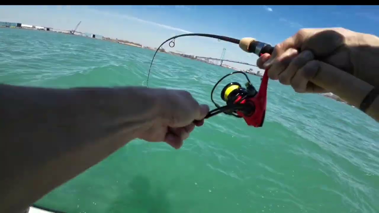 Detroit River walleye fishing April 14th 2023