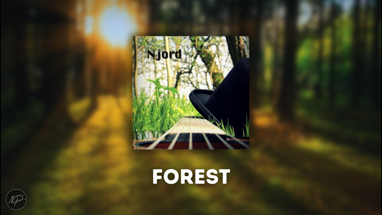 Njord : Forest (Nyx Pathfinder & Bertrand Bonnin)