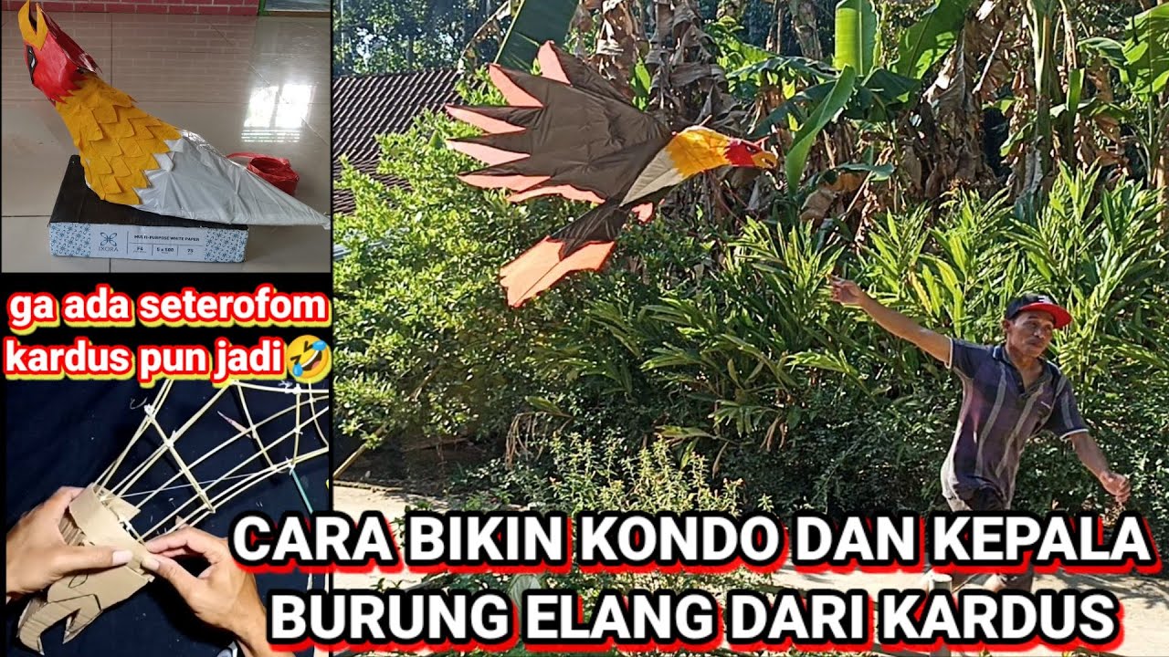 CARA MEMBUAT KONDO DAN KEPALA ELANG DARI KARDUS