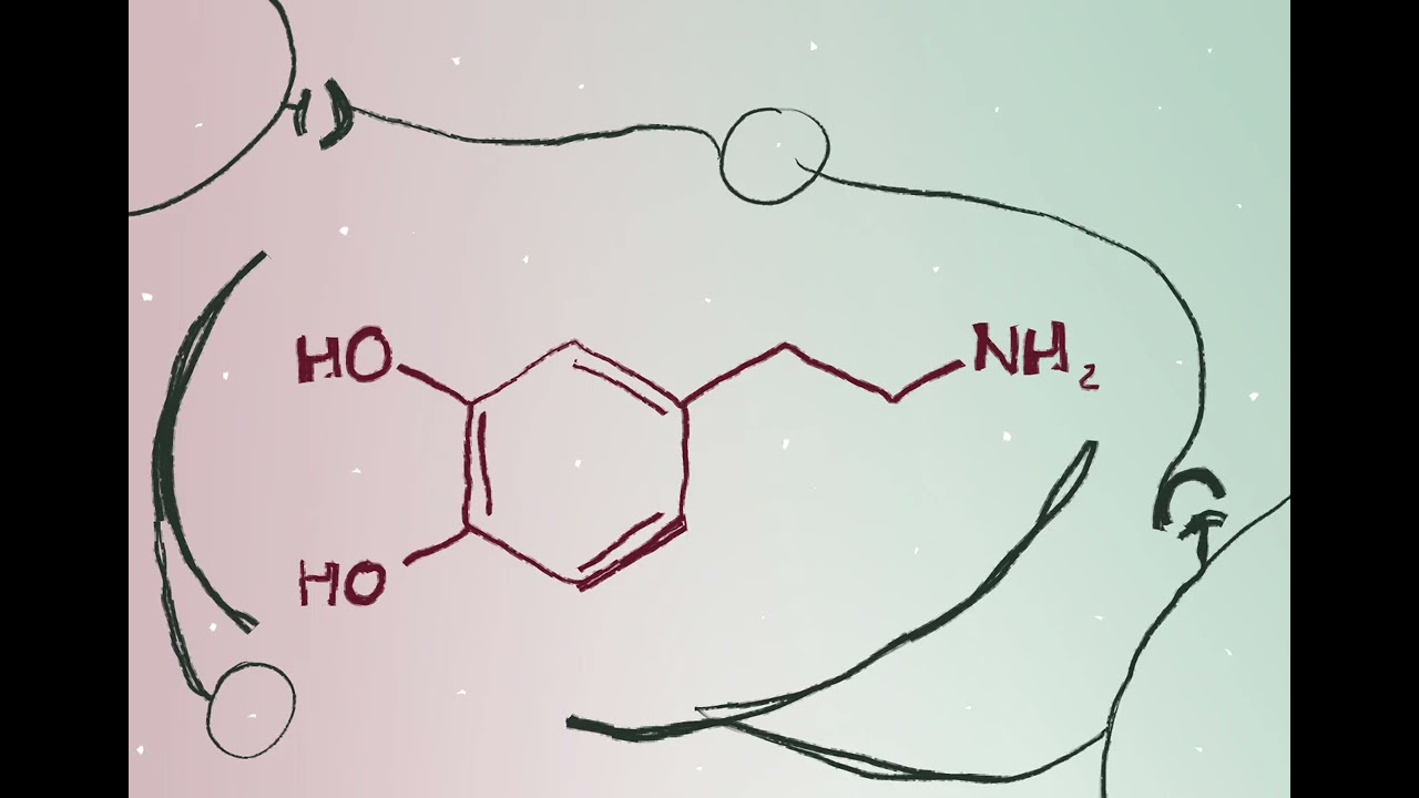 Dopamine rush