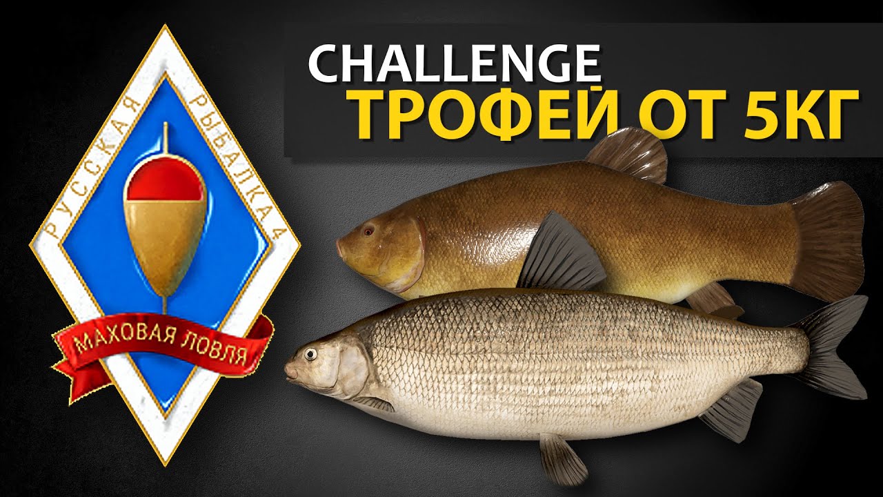 Русская Рыбалка 4 - Стрим. Трофей на мах от 5кг (челлендж от игрока Рекорд недели на бамбук)