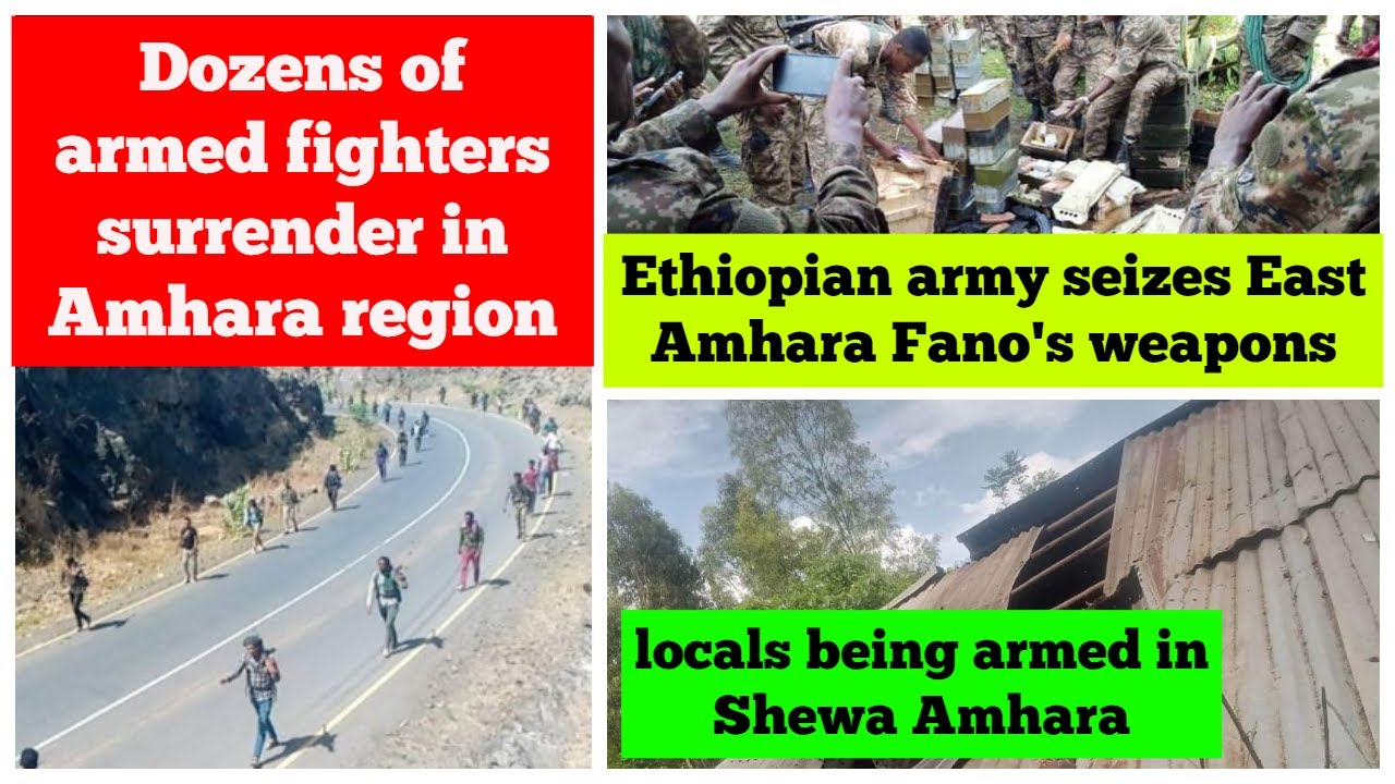 Dozens of armed fighters surrender in Amhara region | Ethiopian army seizes Fano's weapons | Shewa
