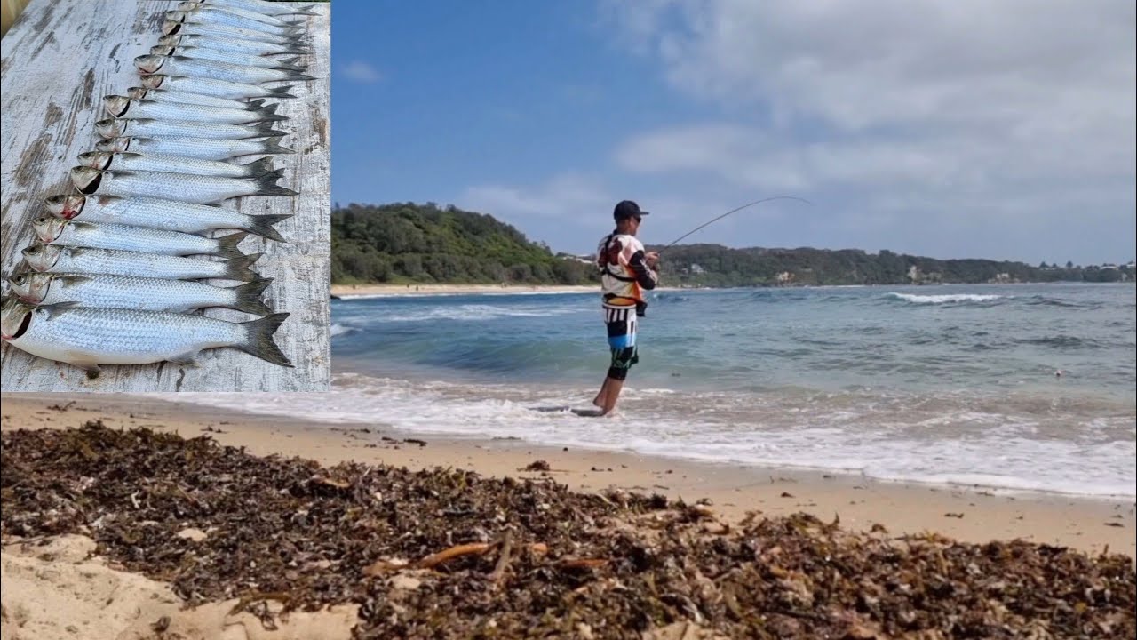 Beach & Rock fishing bagged out, Catch & Cook