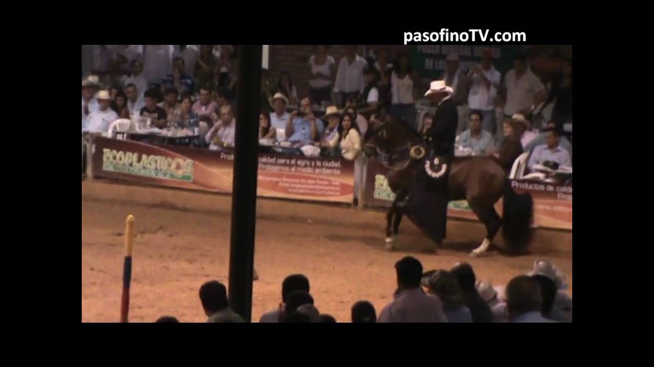 PASOFINOTV.COM - PRODIGIO DE MARIA ROSA, CAMPEON RESERVADO TROCHA PURA NACIONAL 2010