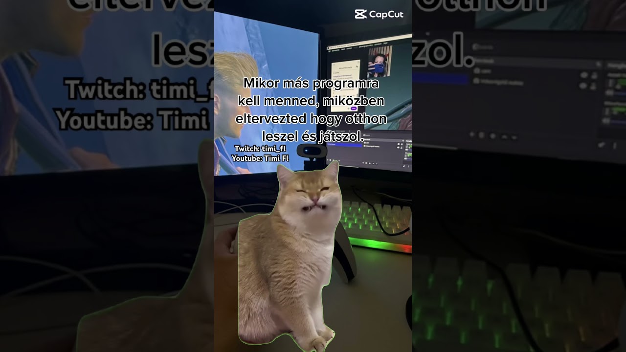 #game #gaming #magyarstreamer #memes #games #timifl #gamer #gamerlife #gamergirl