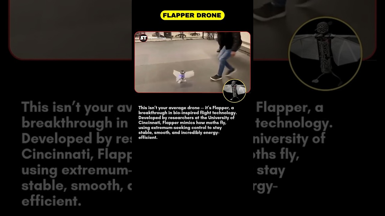 Meet Flapper &mdash; The Moth-Inspired Drone Changing How We Fly! #shortsfeed #technology #usatech #viral