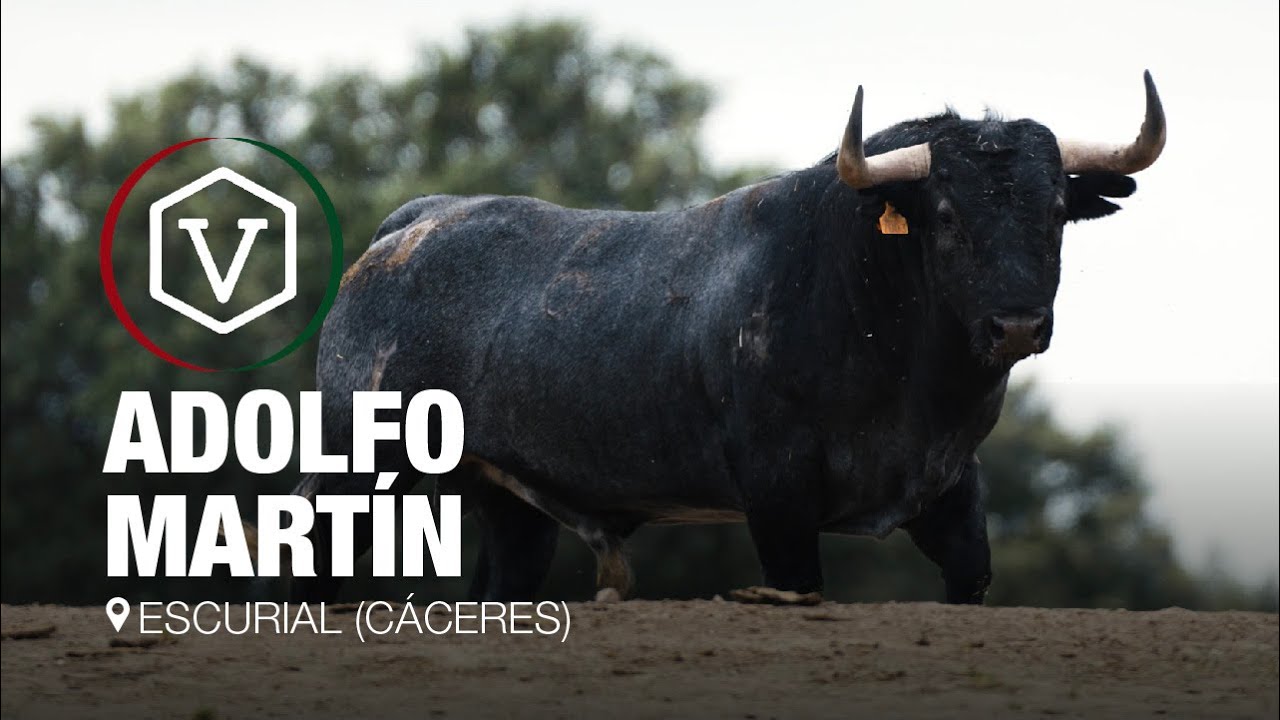 ADOLFO MARTÍN: reportaje, 