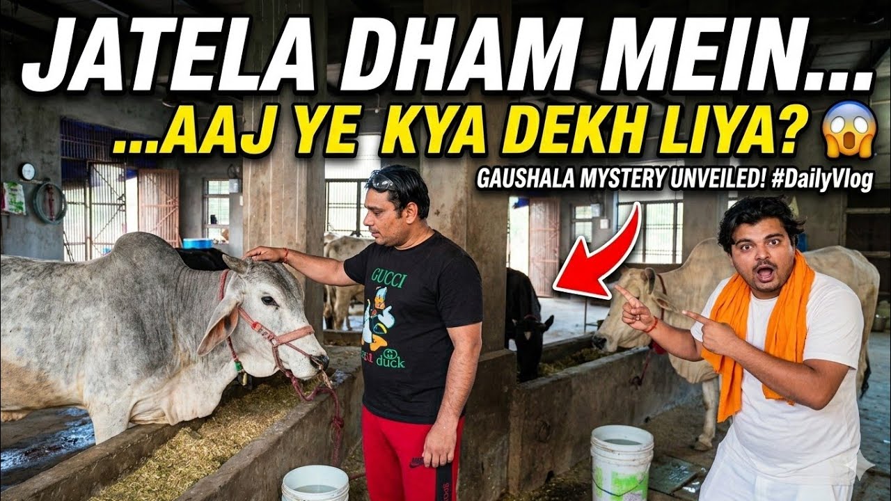 Jatela Dham Gaushala: Ek aisi seva jo aapki aankhein khol degi!
