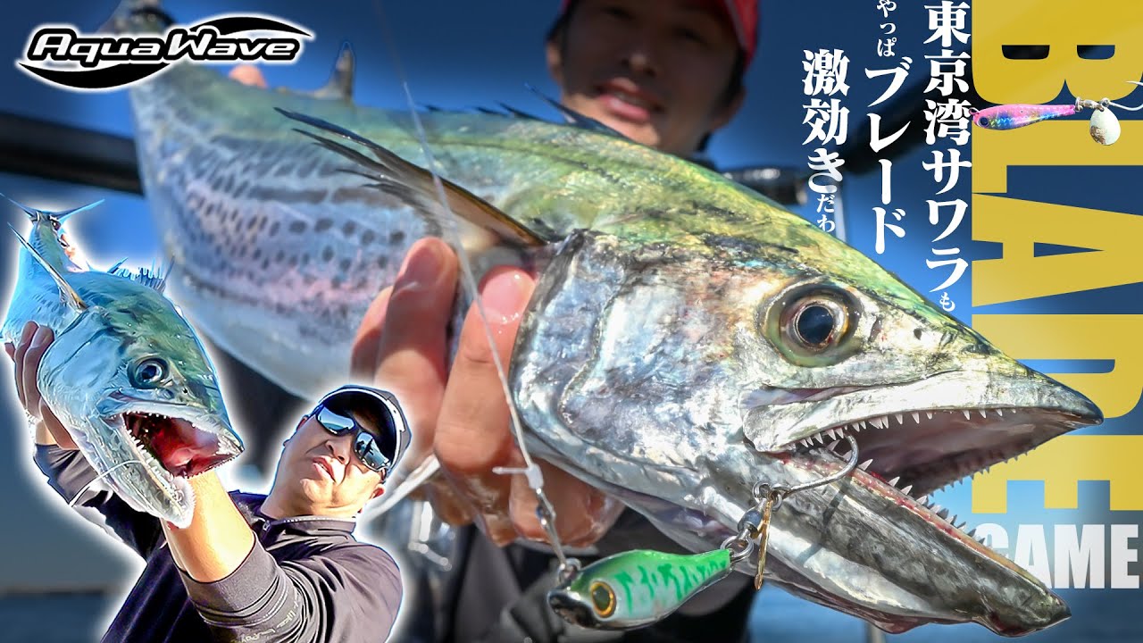 【サワラ・ブレードゲーム】東京湾でもやっぱり激効き！メタルマジックTGの「ウエイト選択」で広がる攻略の幅