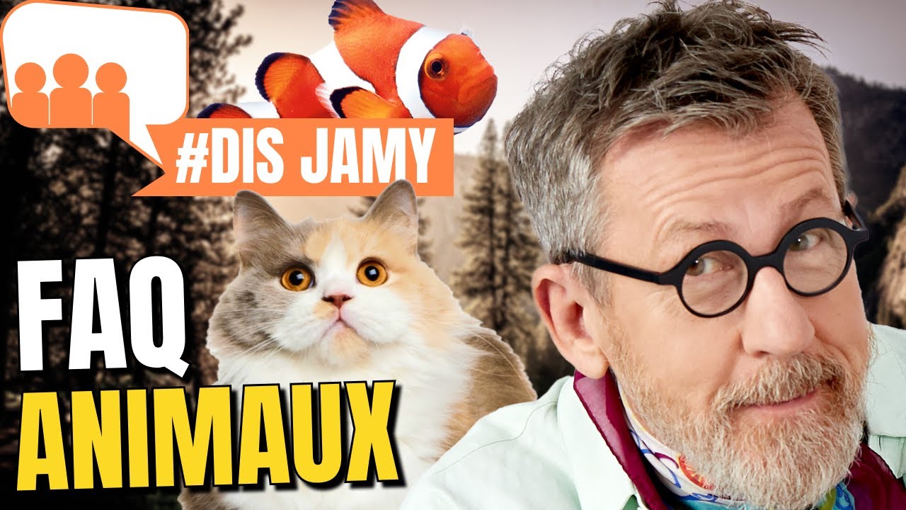 7 réponses sur les animaux 2 • FAQ Dis Jamy 😺🦋🐟🐠🐔🦜