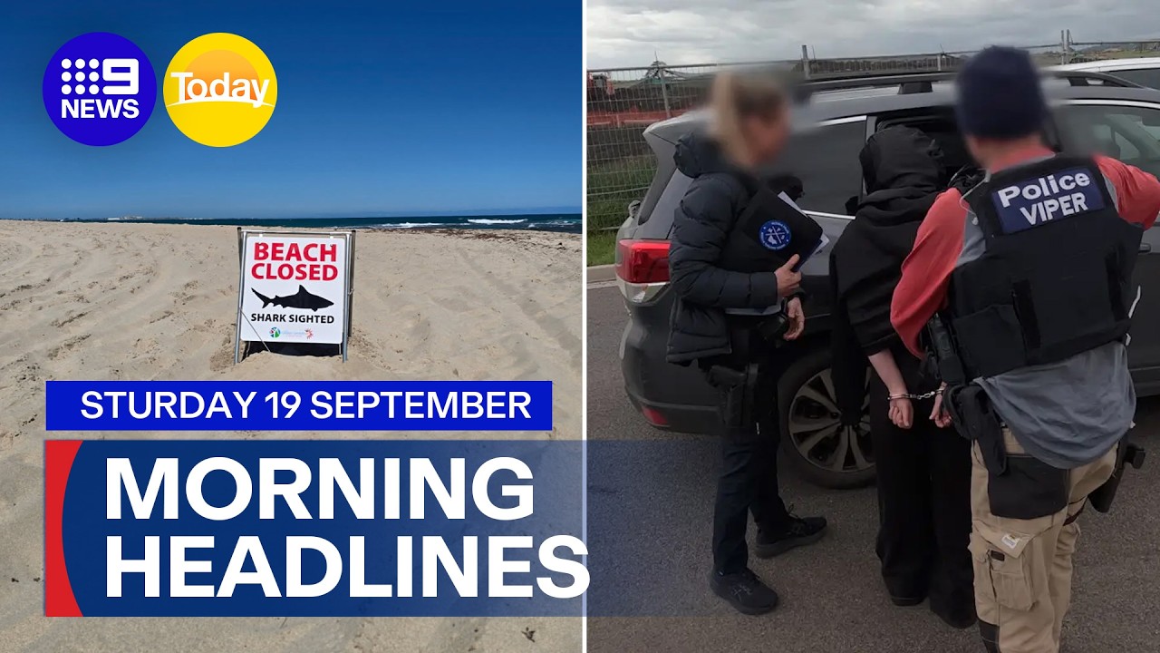 Authorities call for sharks to be culled; Four charged over Sydney shootings | 9 News Australia