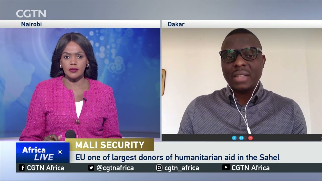 EU decides to stop Mali military training missions