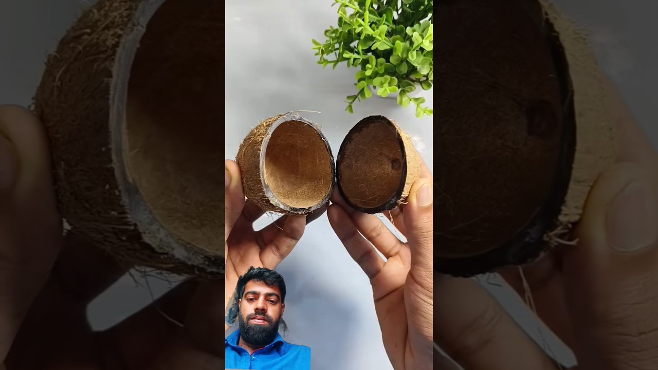 September 2025#diy #woodscraft #carpentry #craft #diy #coconut tree # coconut