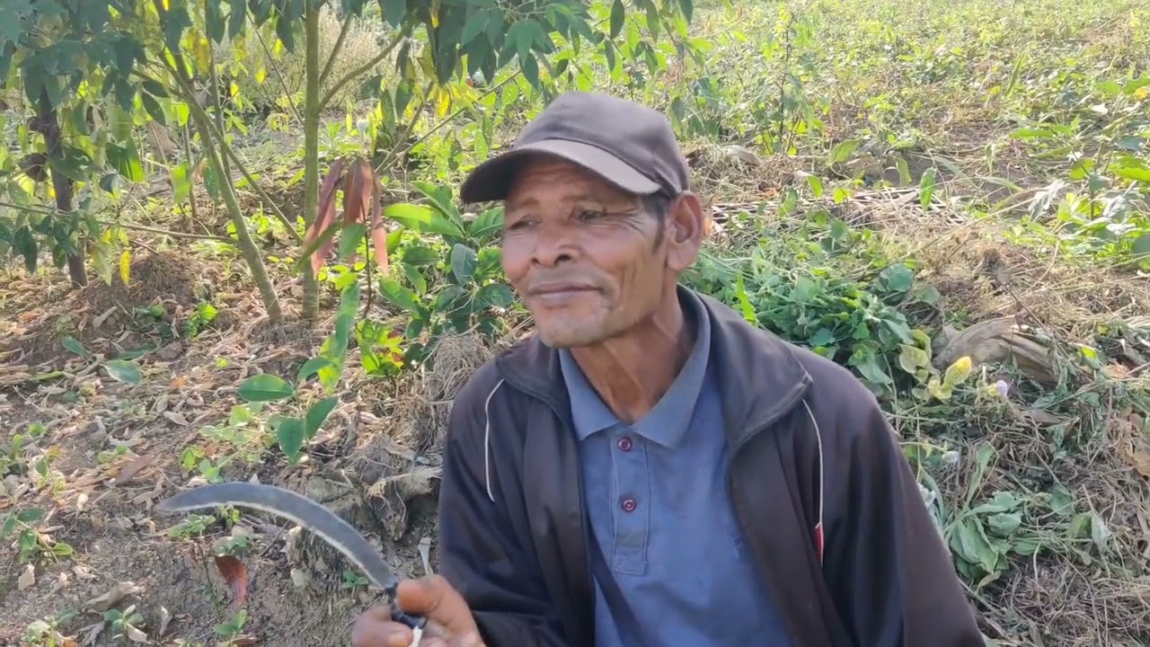 THINGLHANG CHANGLEI - NATOHNA