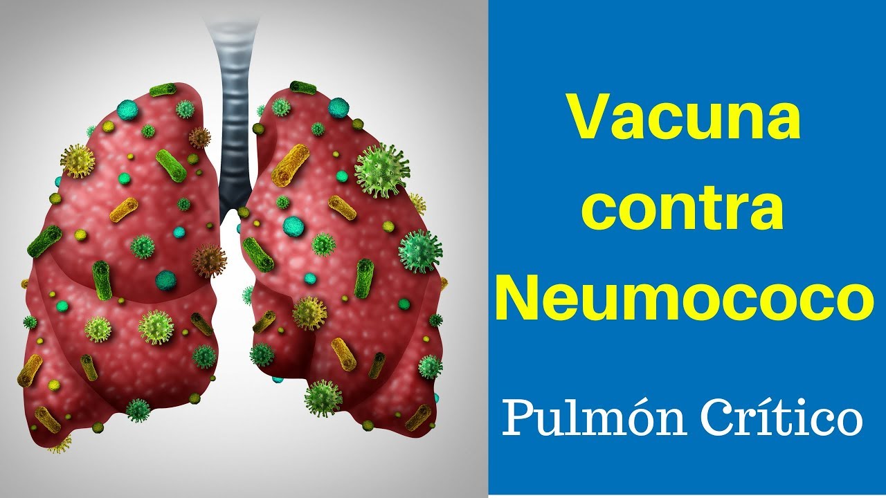 Esquema  de vacunas contra el Neumococo