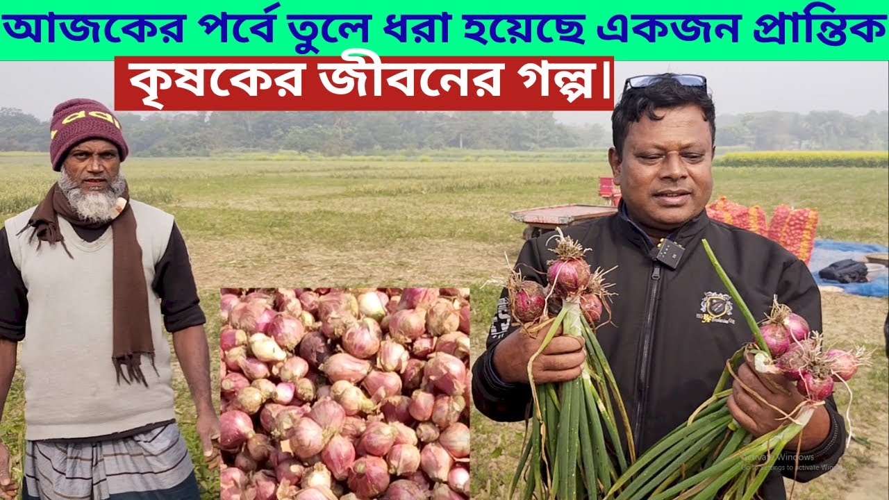 “বাম্পার ফলনেও হাসি নেই: এক পেঁয়াজ চাষির বাস্তব জীবনের গল্প” ও প্রান্তিক কৃষকের দুঃখ!