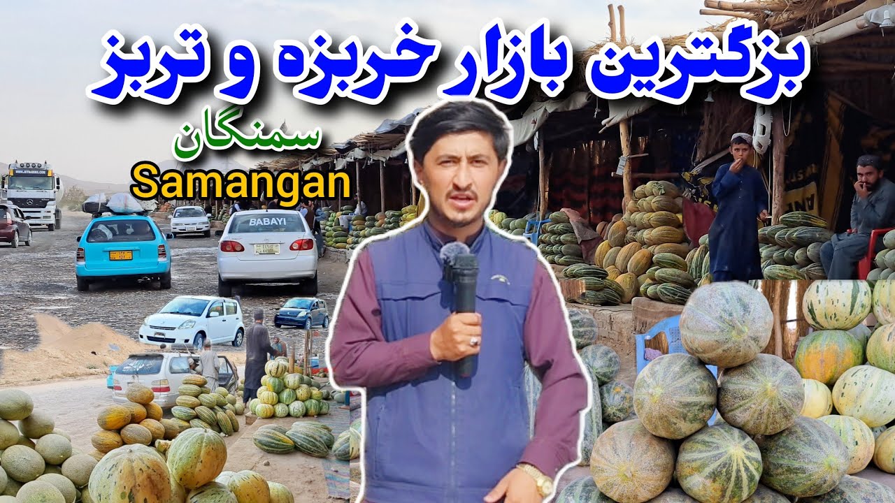 گزارش مایک مردم، جالب‌ ترین بازار خربزه و تربز در سمنگان، خربزه لیلام شد، فصل میوه افغانستان