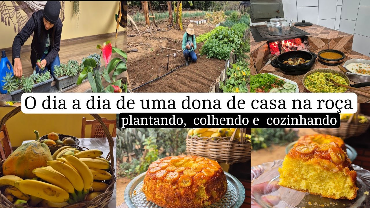 Rotina do dia/  horta e jardim/ não deu certo novamente 🥹 almoço e bolo de banana