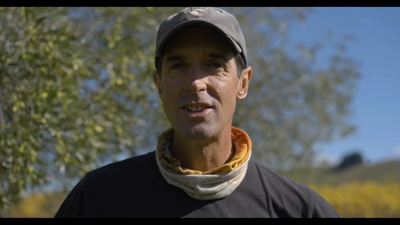 Vineyard manager Cameron talks Organics