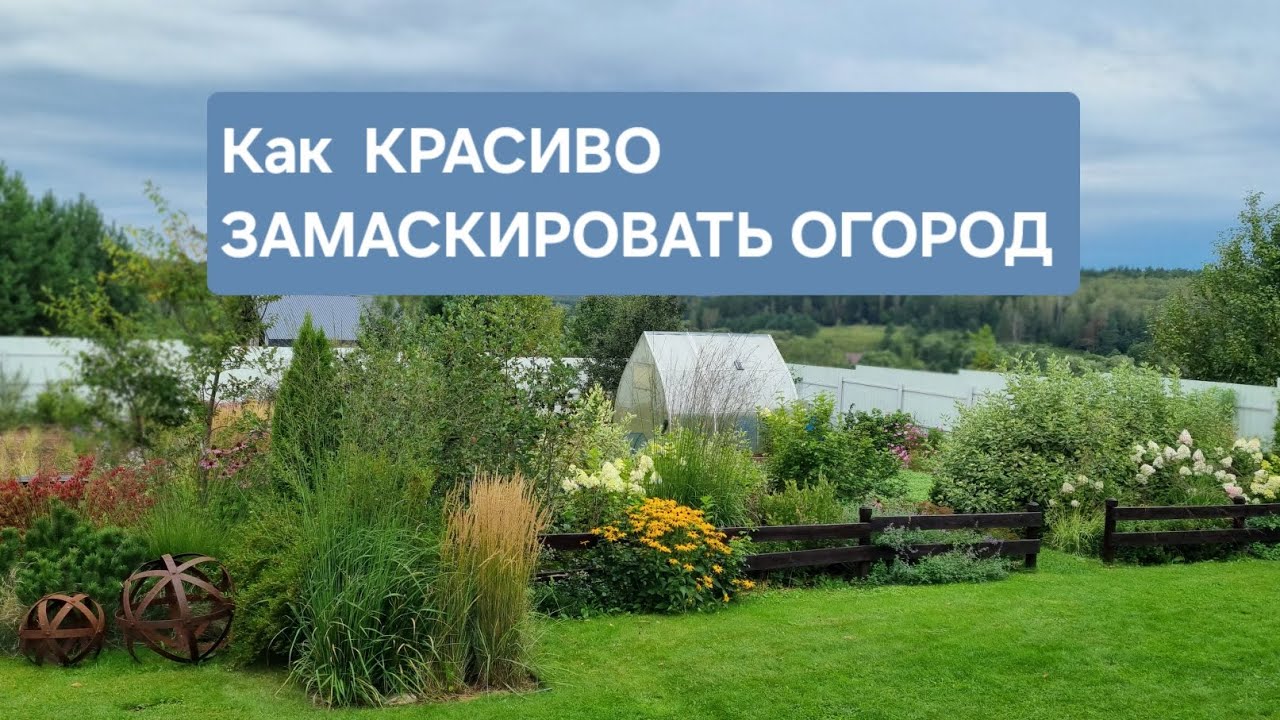 Как КРАСИВО ЗАМАСКИРОВАТЬ ОГОРОД: пример озеленения. 