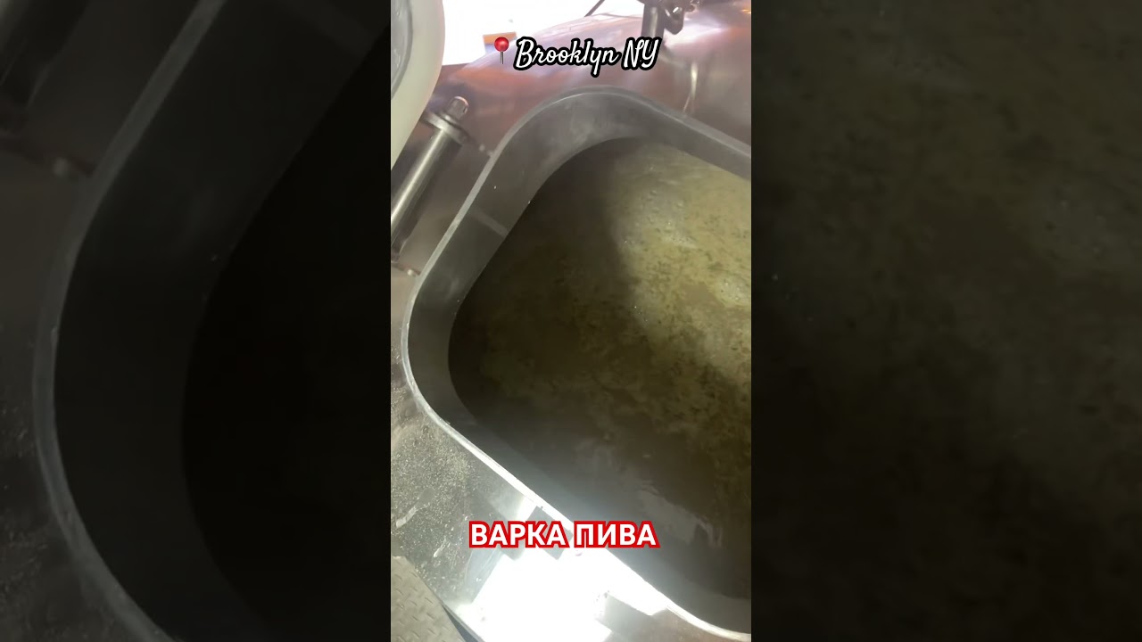 Варю пиво на мини пивоварне на 500 литров #usa #brewery